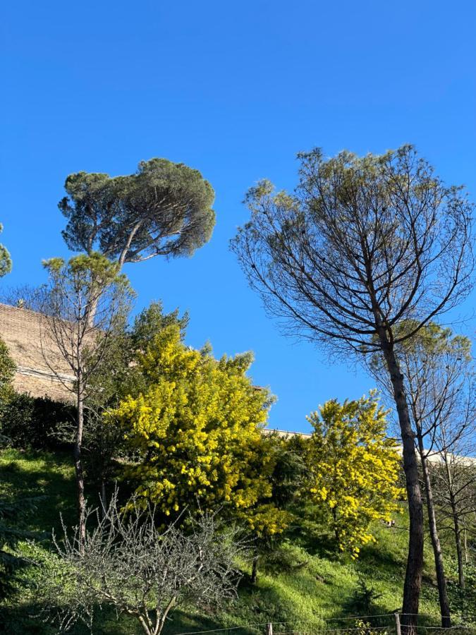 Vatican Green Holidays House Roma Exterior foto